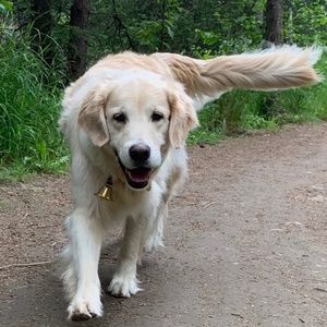 Meet your Posher, Payton